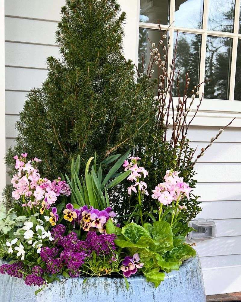 May: Container Gardening
