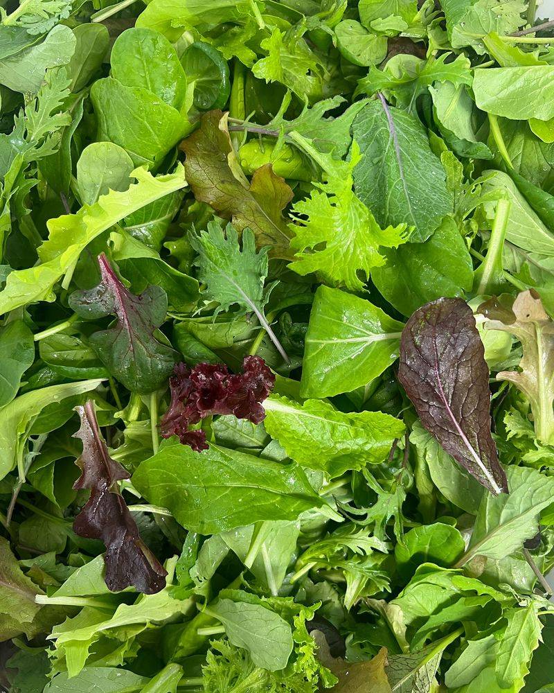 Mesclun