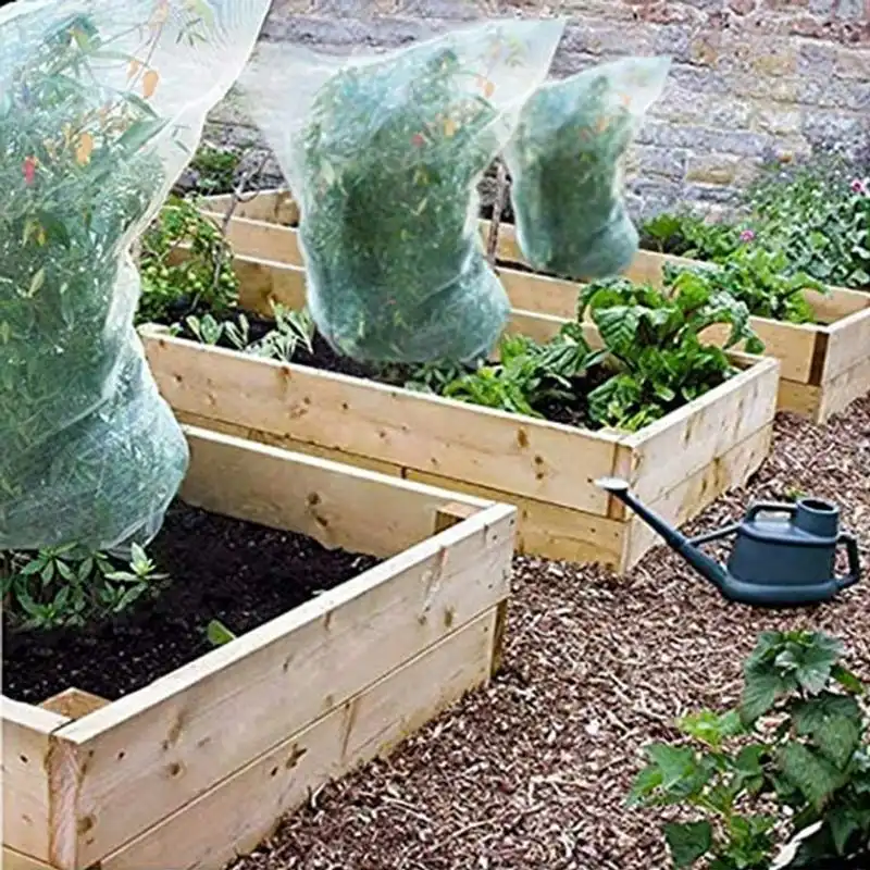Mesh Bag Composting