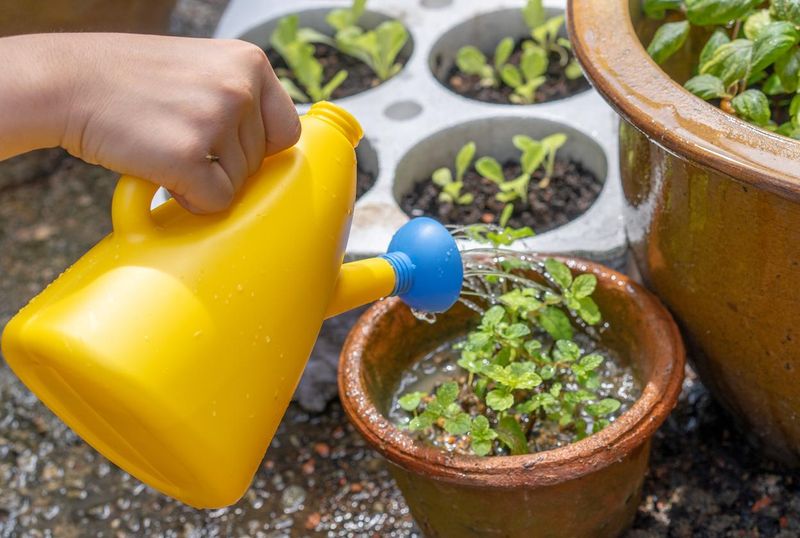 Milk Jug Watering Can