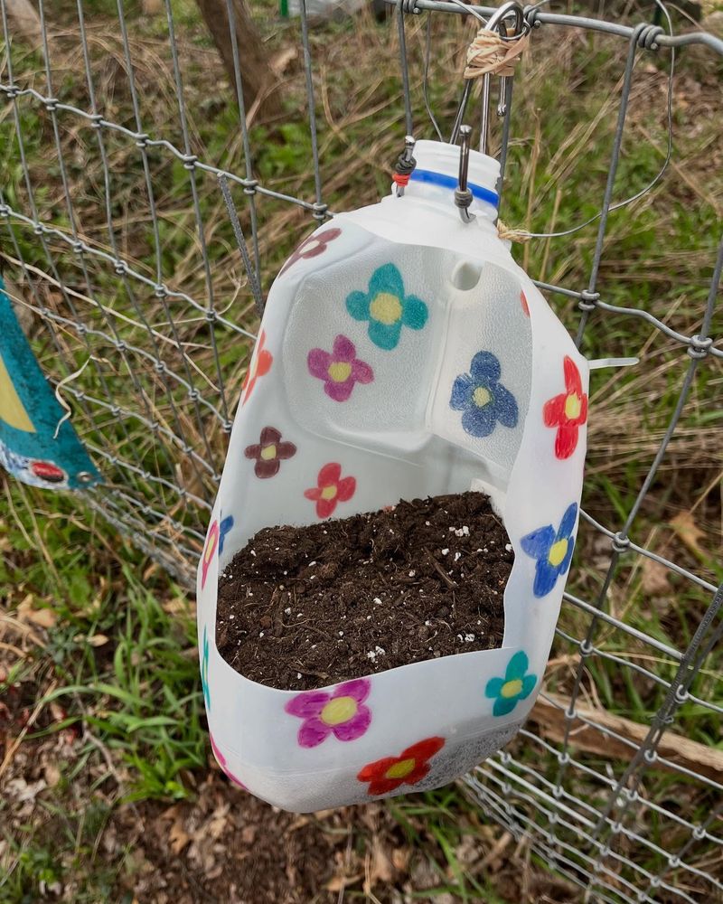Milk Jugs