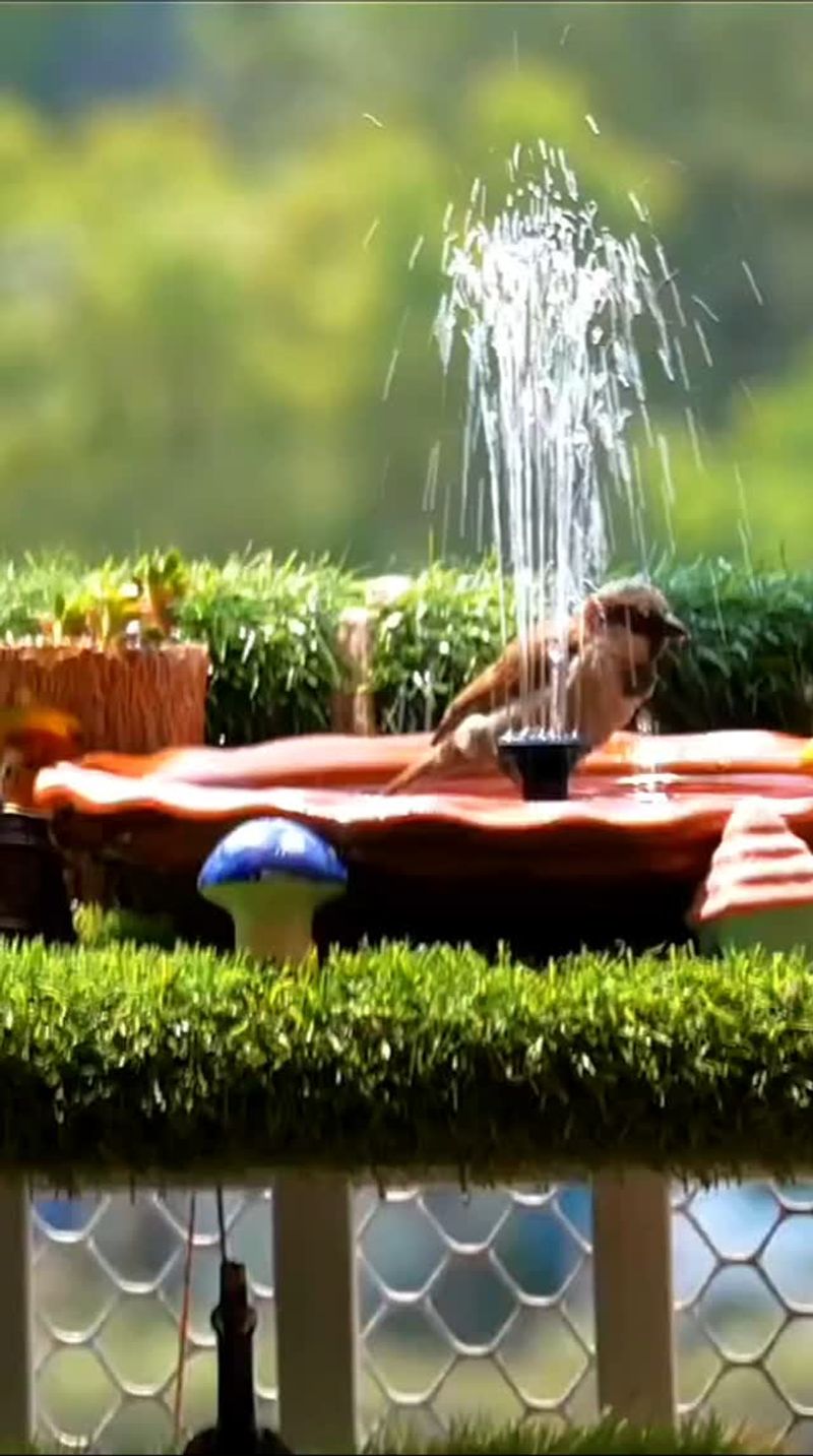 Mini Water Fountain