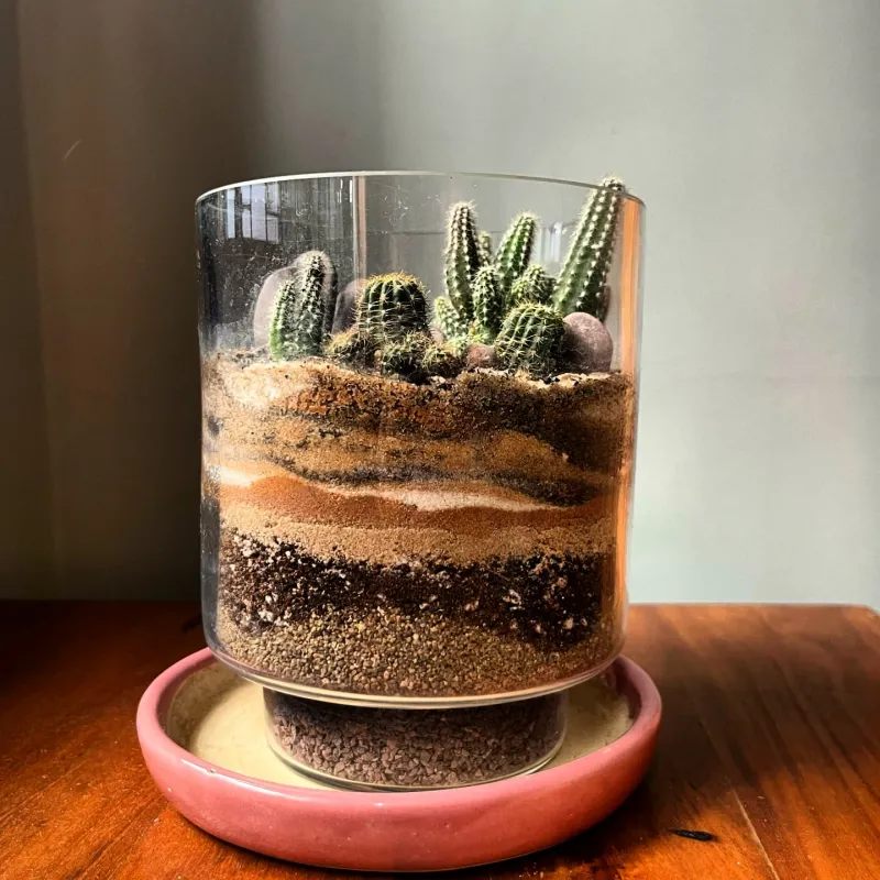 Miniature Desert Scape