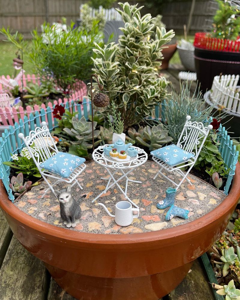 Miniature Garden Creations