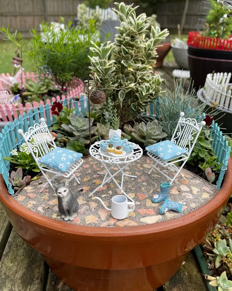 Miniature Garden Creations