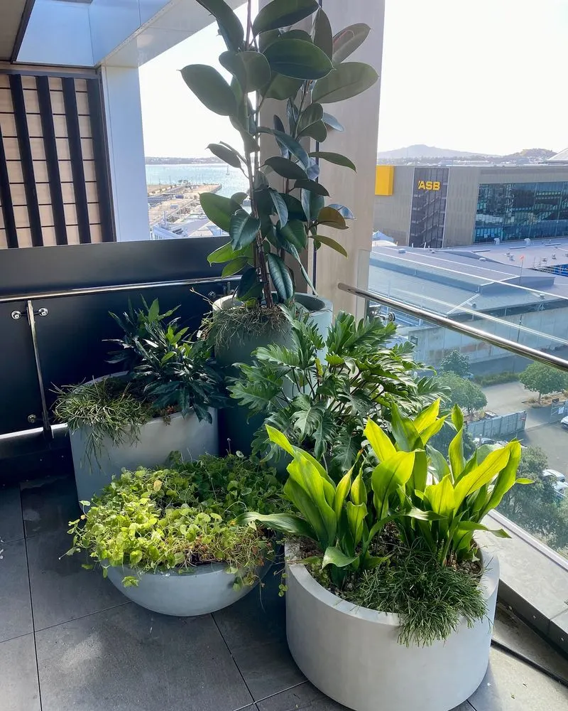 Miniature Tree Oasis