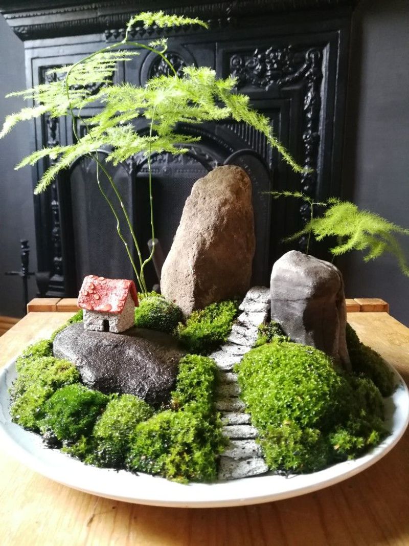 Miniature Zen Garden