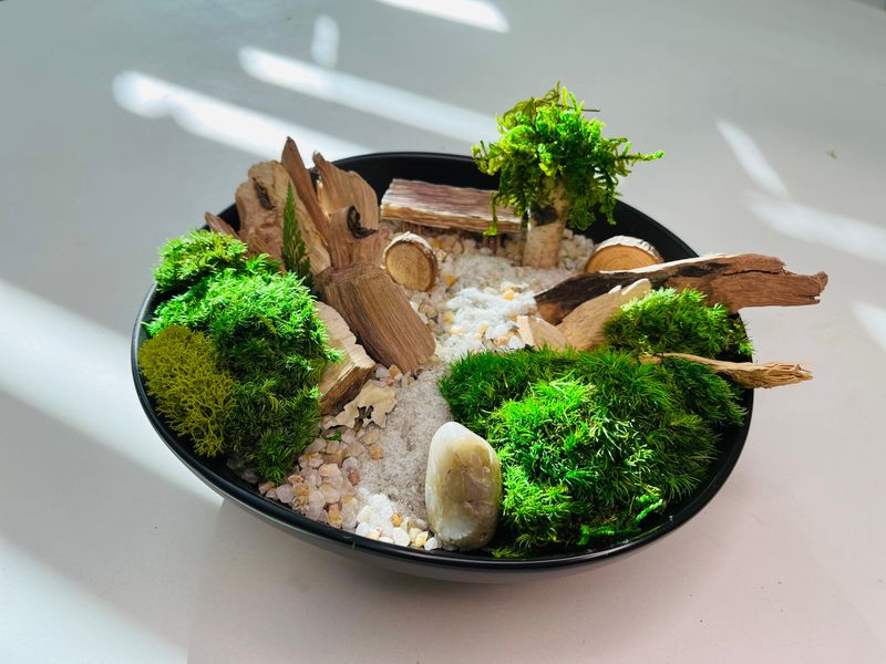 Miniature Zen Garden