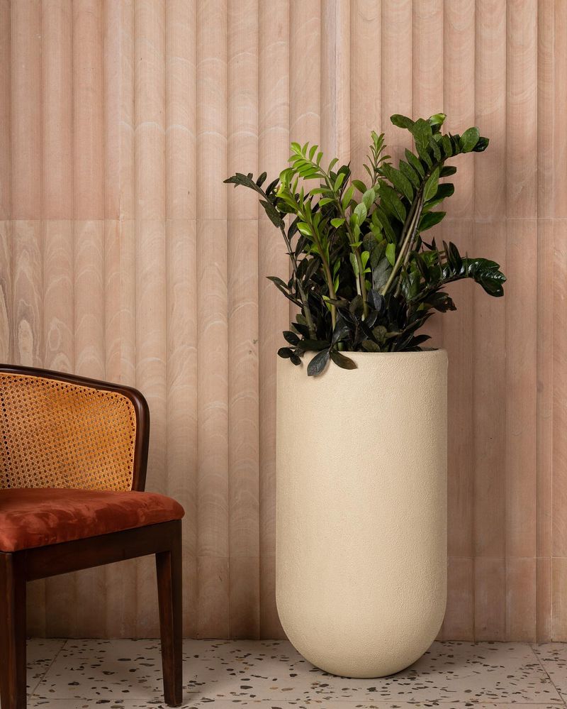 Minimalist Terracotta Pots