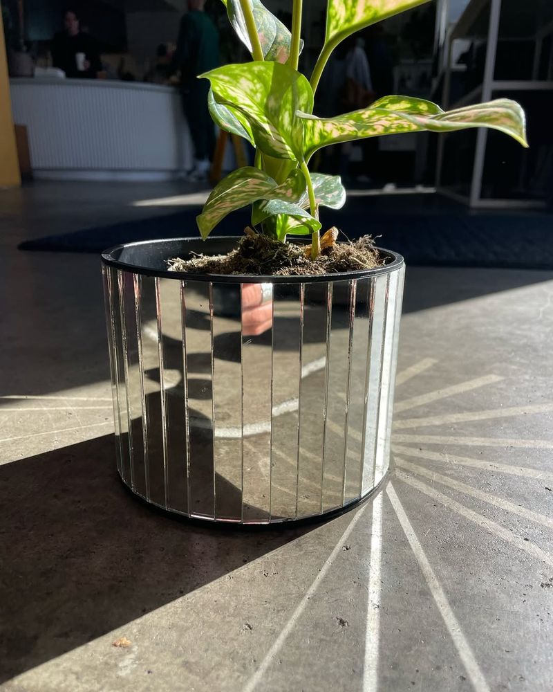 Mirrored Planters