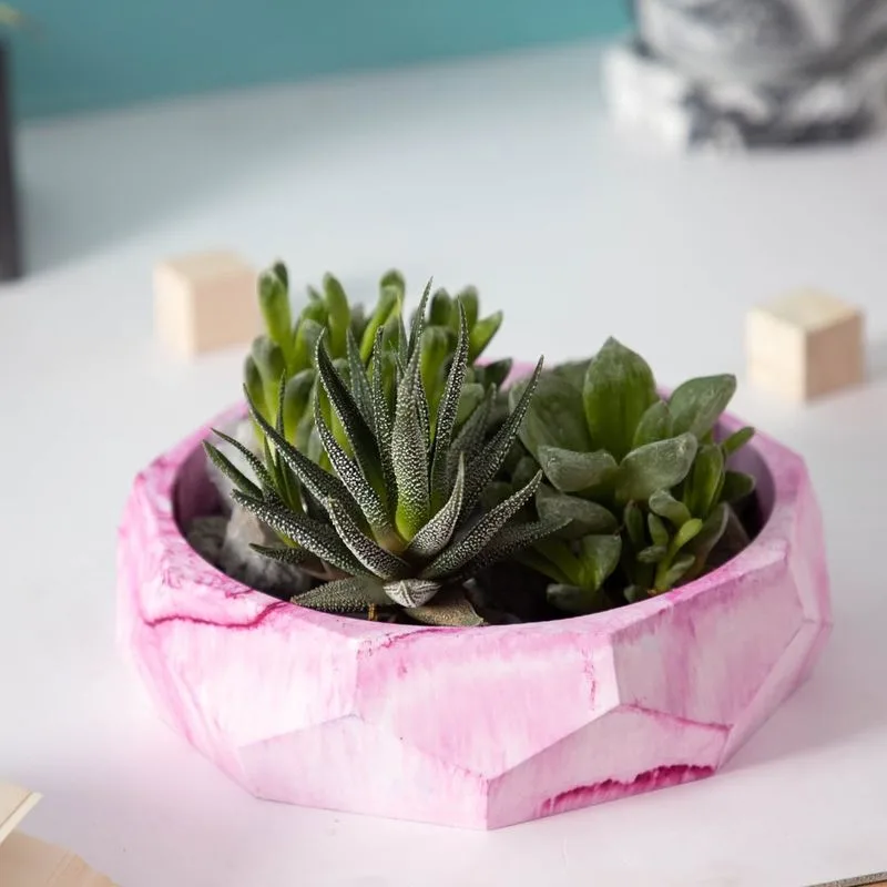 Modern Concrete Planter