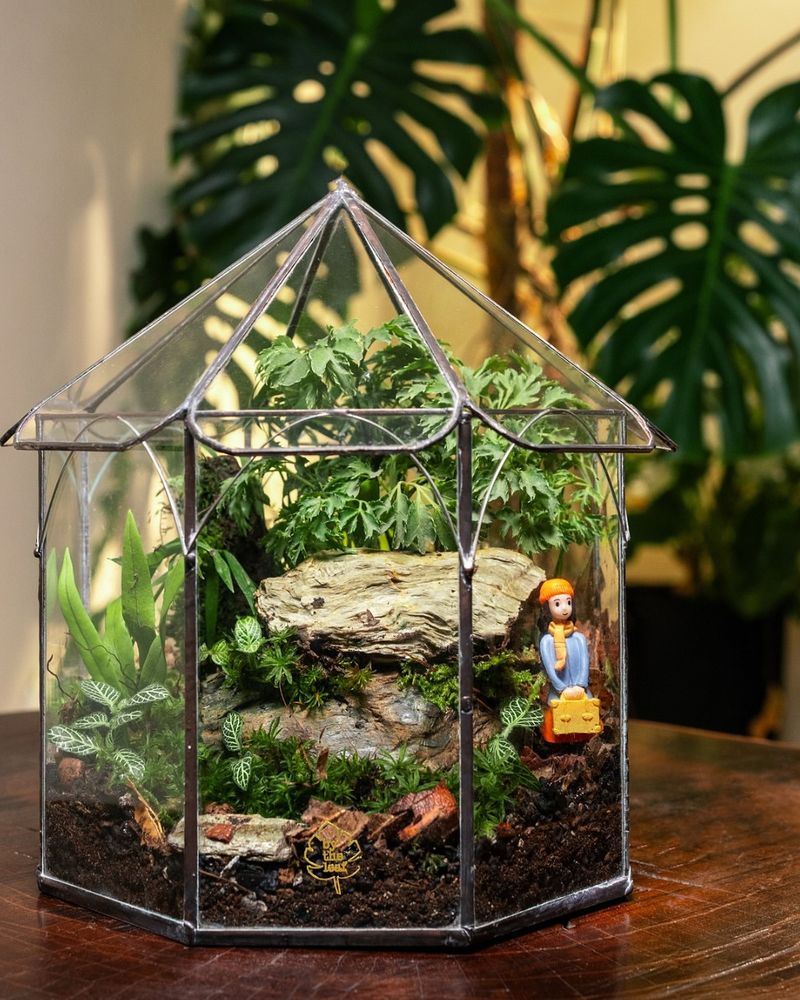 Modern Geometric Terrarium