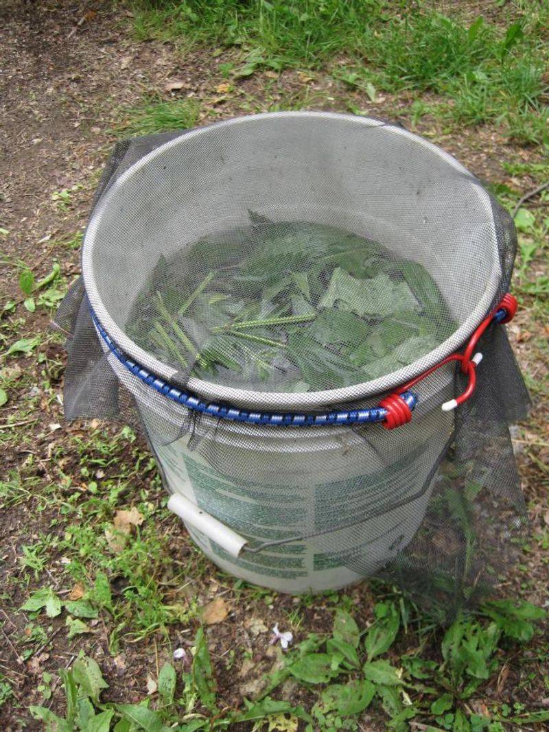 Using Fertilizer Teas