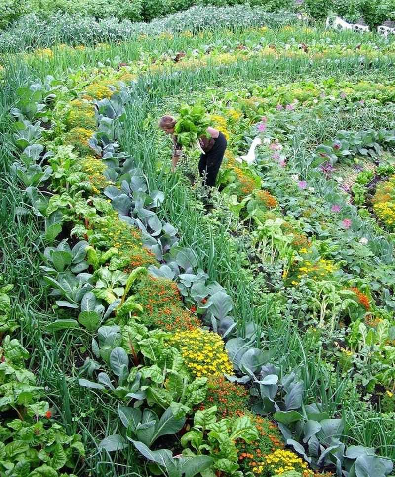 Monoculture Planting