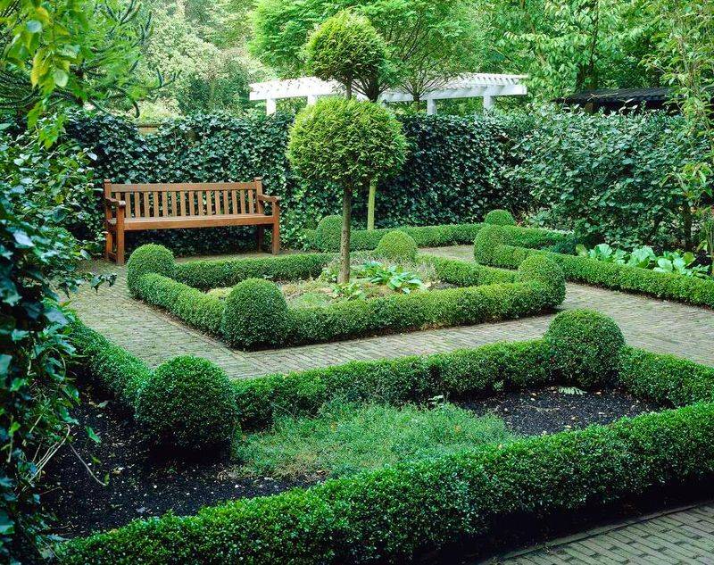 Formal Hedges and Borders