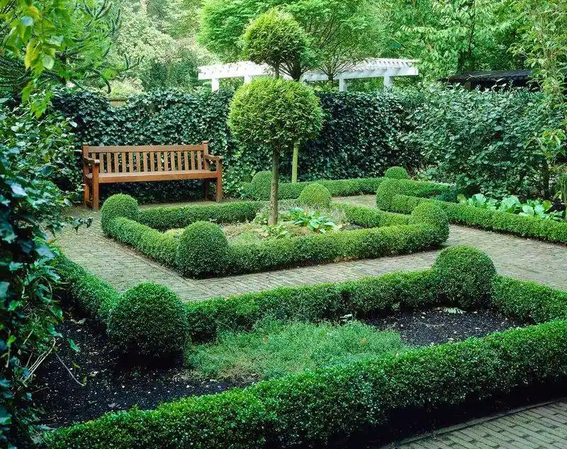Formal Hedges and Borders