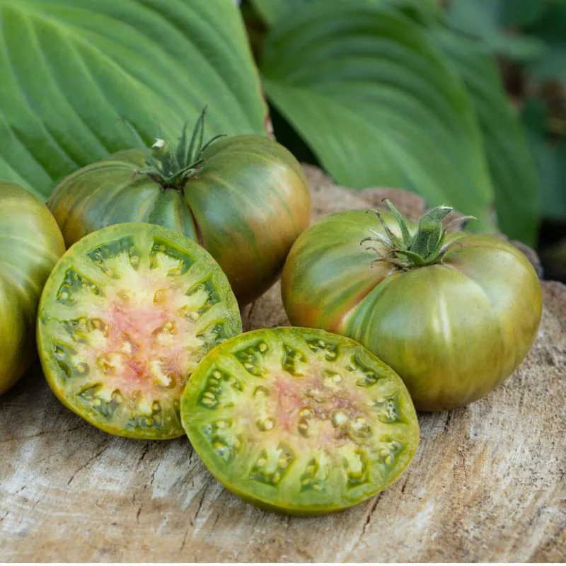 Aunt Ruby's German Green