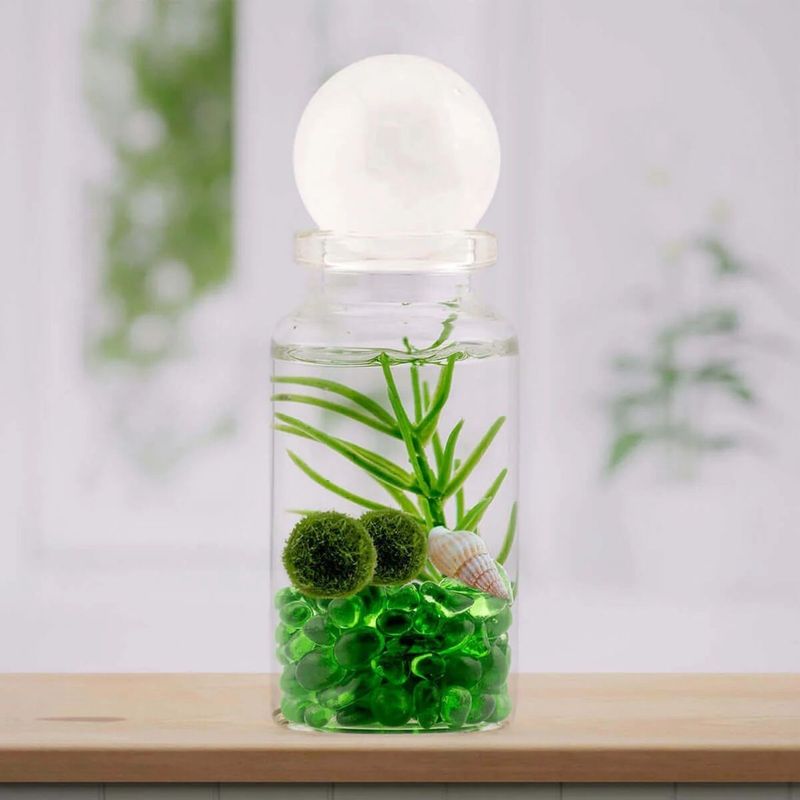 Moss Ball Habitat