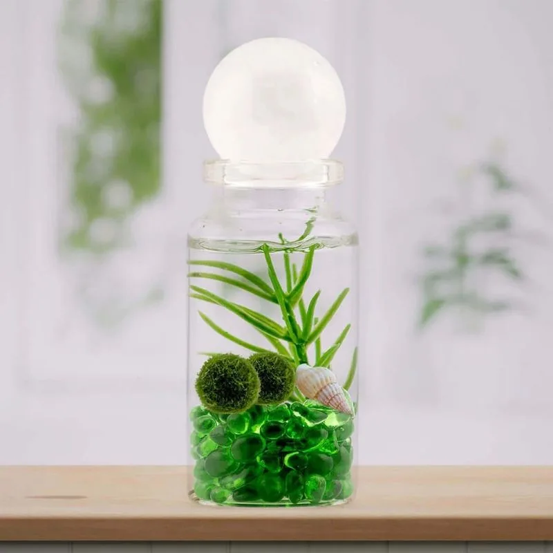 Moss Ball Habitat