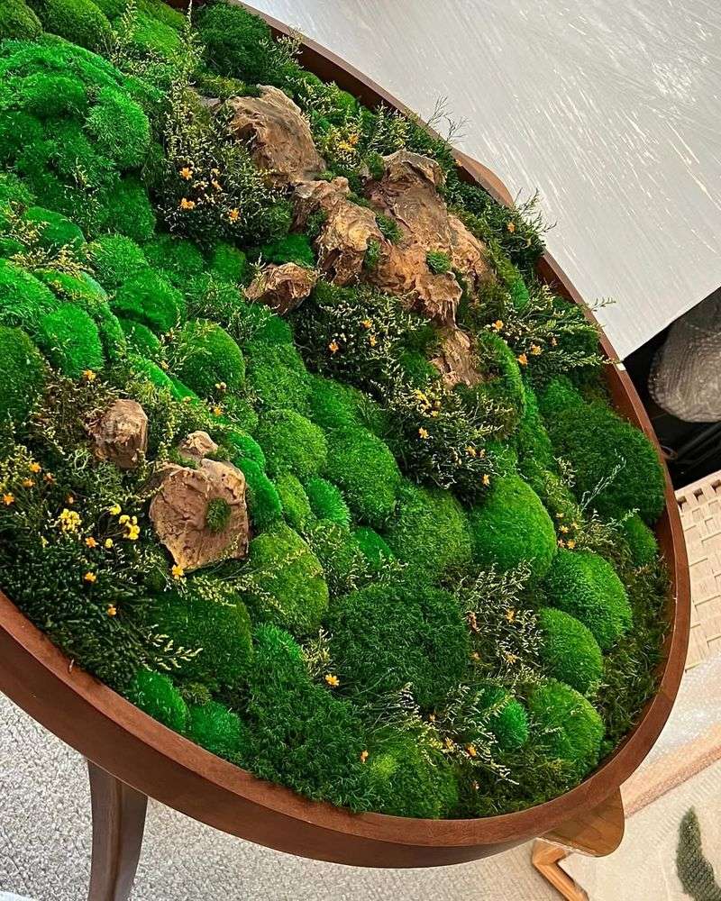 Moss Wall Art