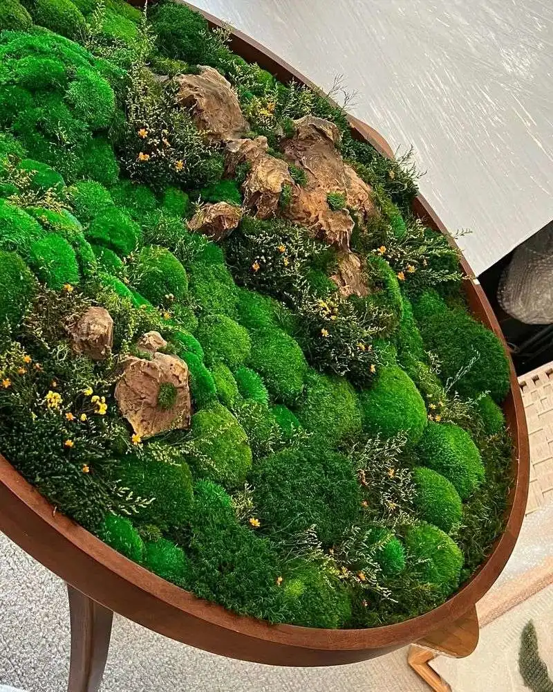 Moss Wall Art