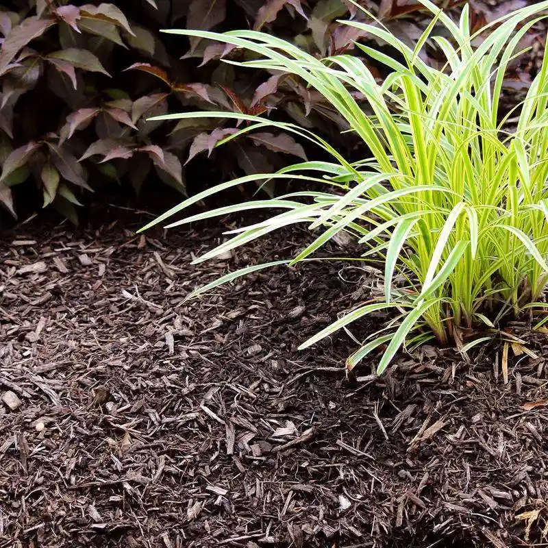 Mulch Like a Pro