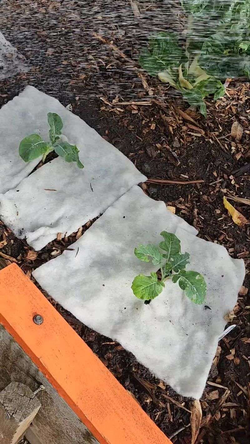 Mulch Mats