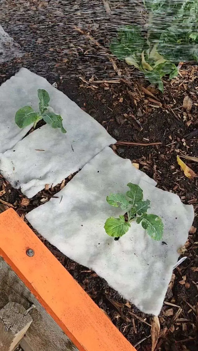 Mulch Mats
