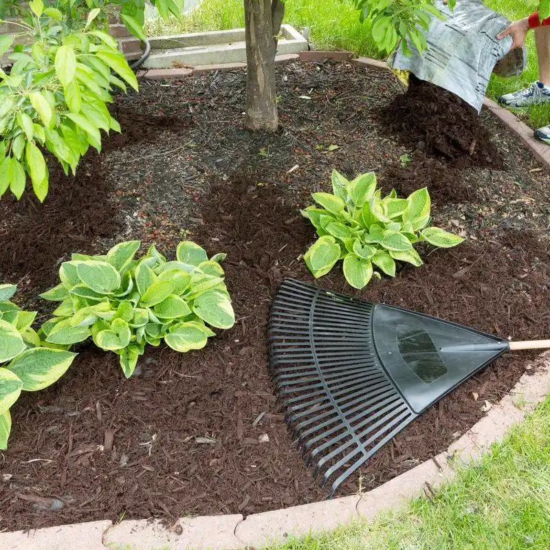 Mulch to Conserve Moisture