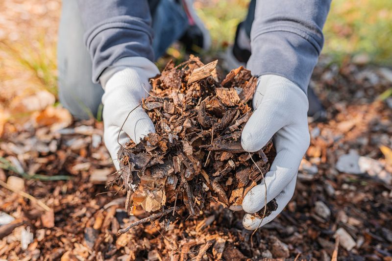 Mulching Benefits
