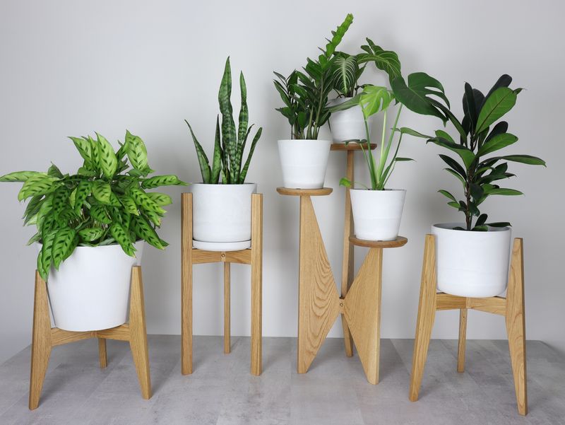 Multi-Level Plant Stands