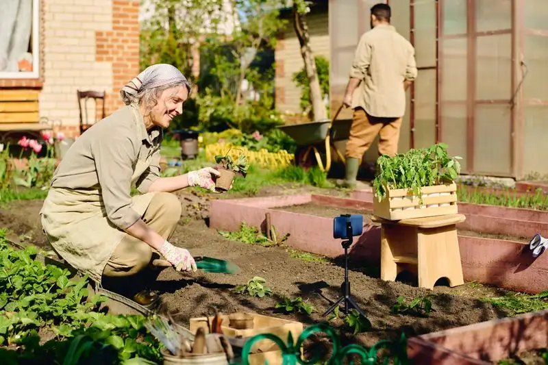 Myth 13: Coffee Grounds Are a Universal Fertilizer