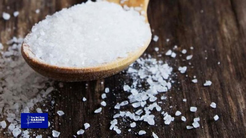Myth 14: Epsom Salts Are a Universal Cure-All