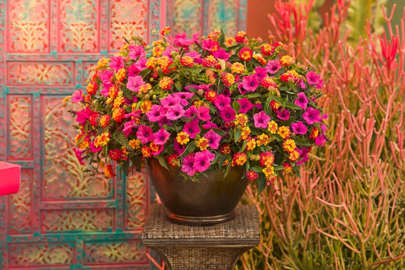 Myth 15: Bigger Pots Mean Bigger Plants