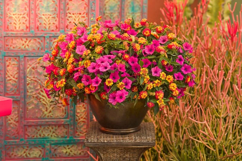 Myth 15: Bigger Pots Mean Bigger Plants