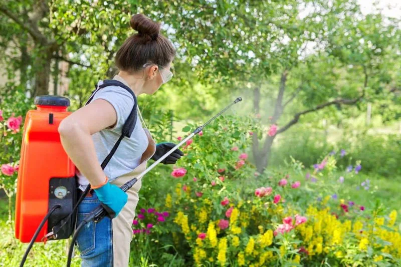 Myth 2: Organic Pesticides Are Completely Safe