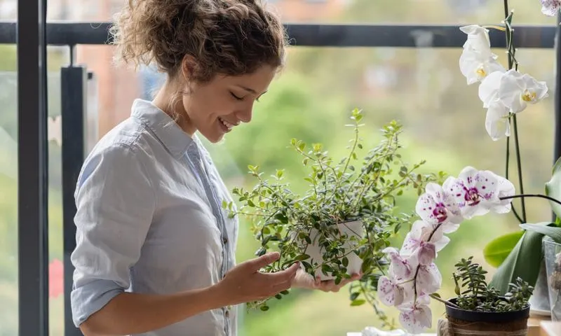 Myth 2: Talking to Plants Stimulates Growth