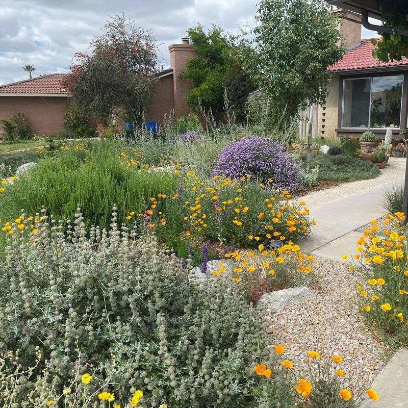 Native Plant Gardens