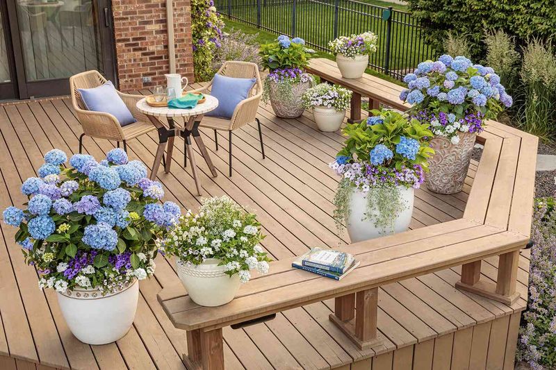 Container Gardens