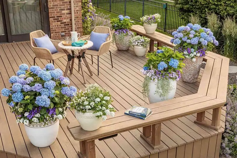 Container Gardens