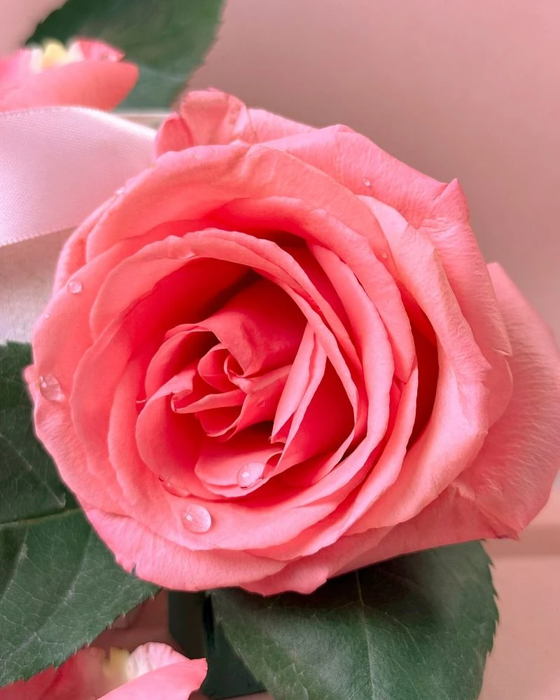 Natural Beauty Remedy