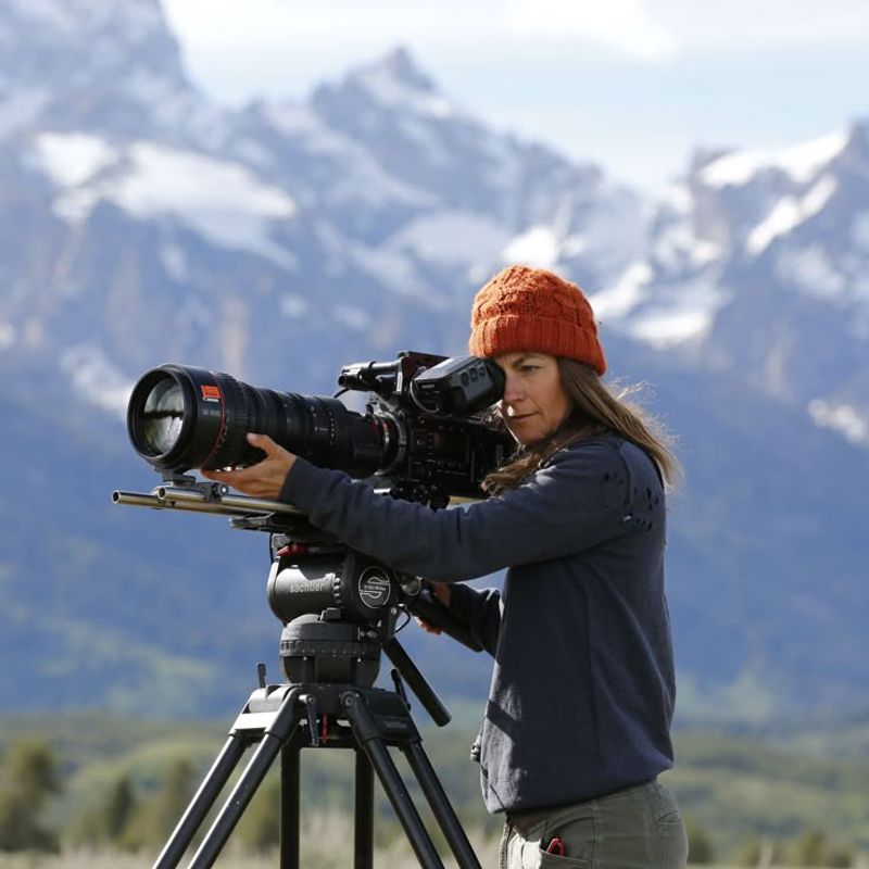 Nature Documentaries