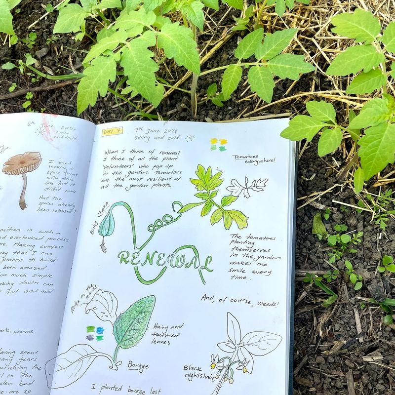 Nature-Inspired Journaling