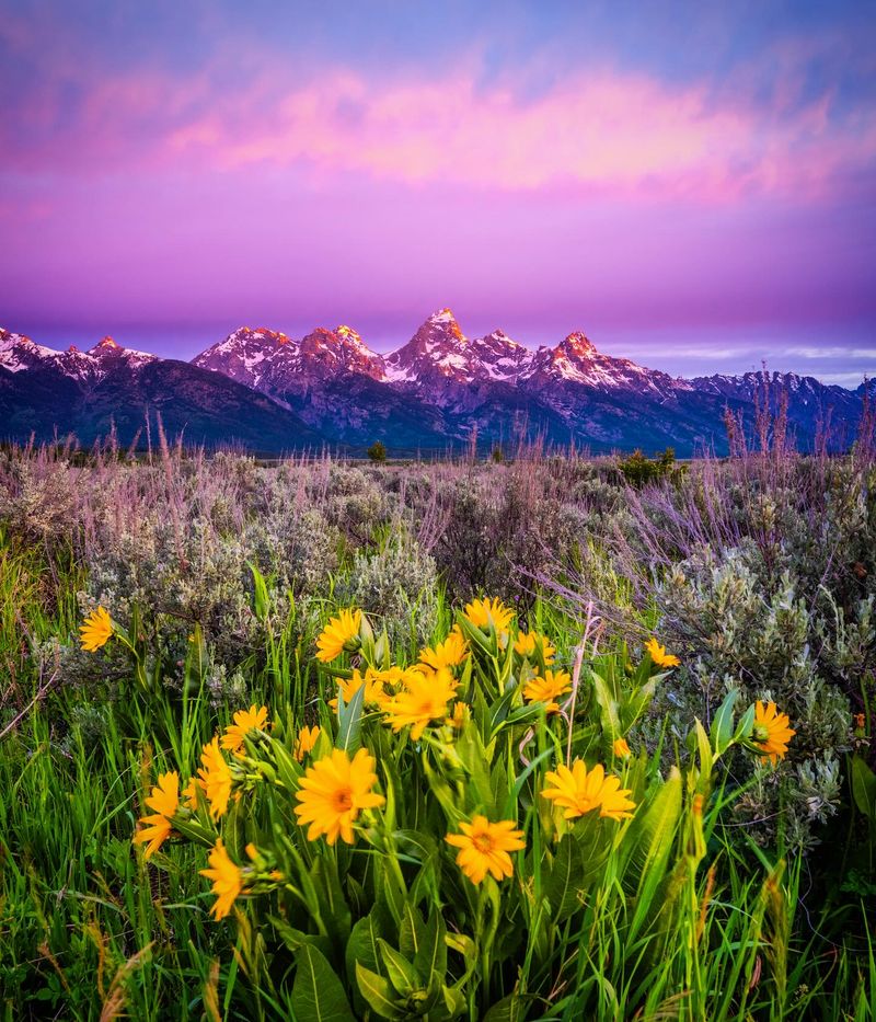 Nature Photography