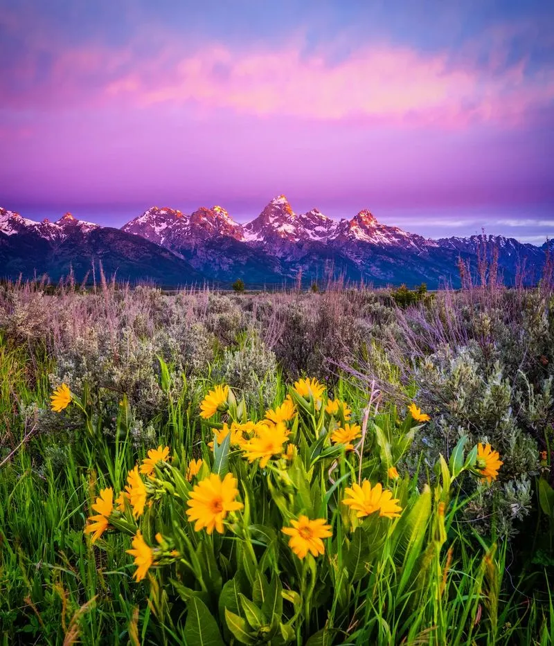 Nature Photography