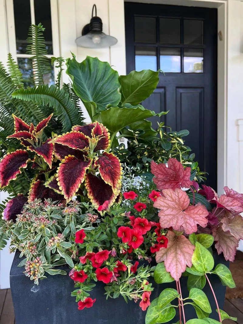 Neglecting Container Plants