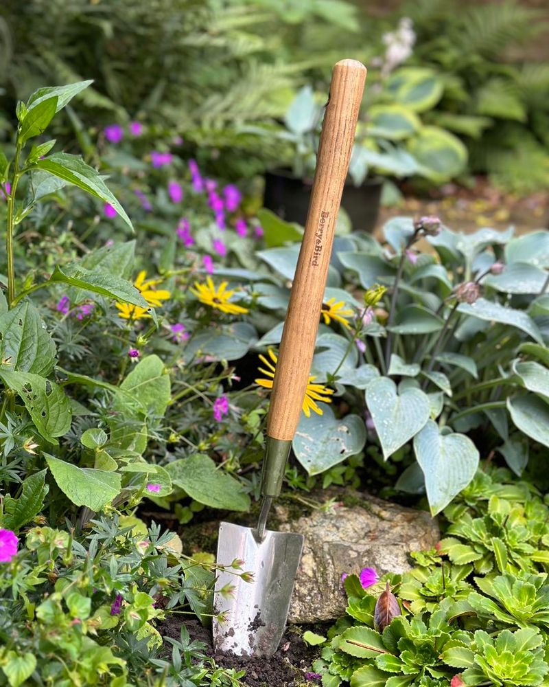 Neglecting Garden Tools