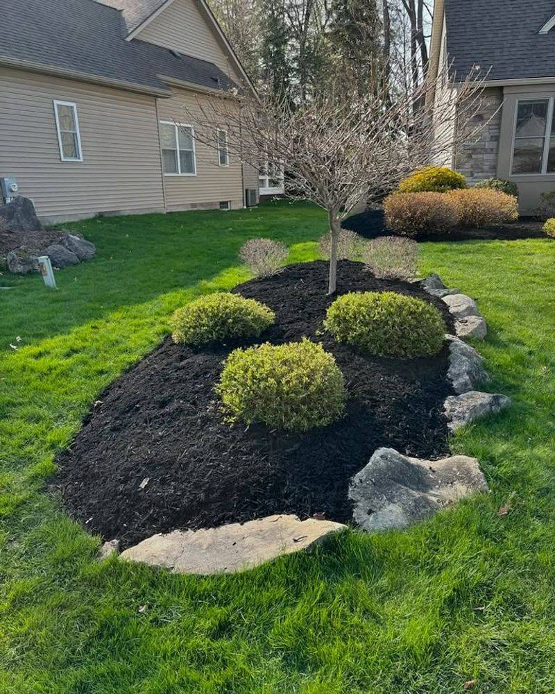 Neglecting Mulch