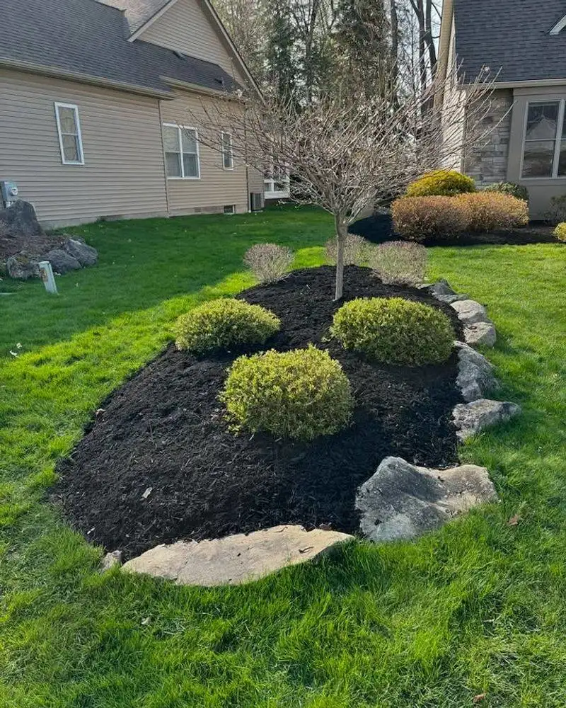 Neglecting Mulch