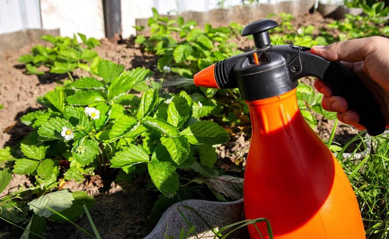 Neglecting Pest Control